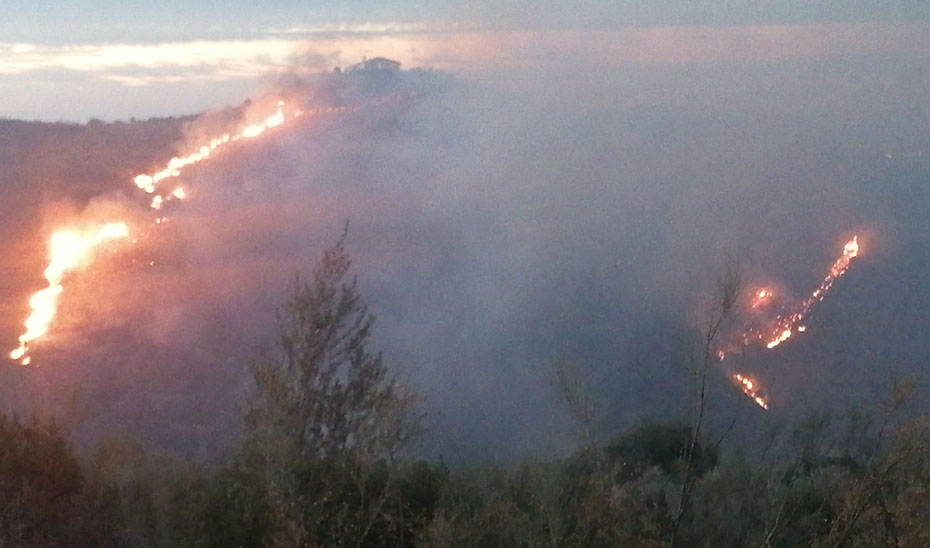 Incendio forestal Colmenar.